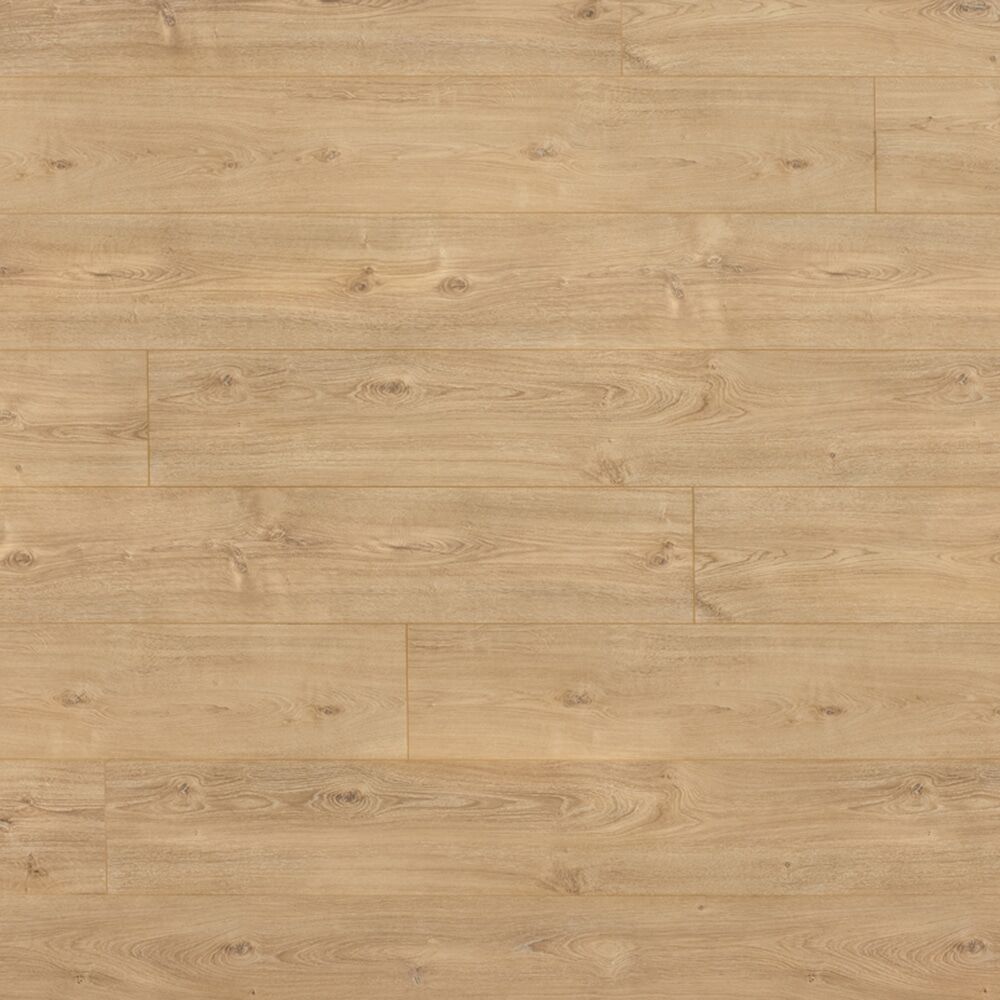 FLOER-NATUREL GEOLIED>FLR-1712
